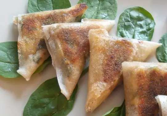 Bricks aux rillettes de poulet